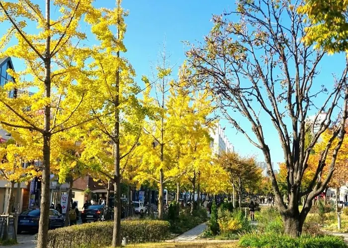 Yeonnam House 게스트하우스 서울특별시